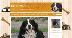Desktop Screenshot of borisinfo.nl